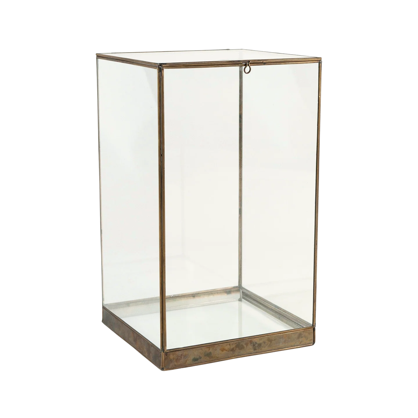 Miniatura 1