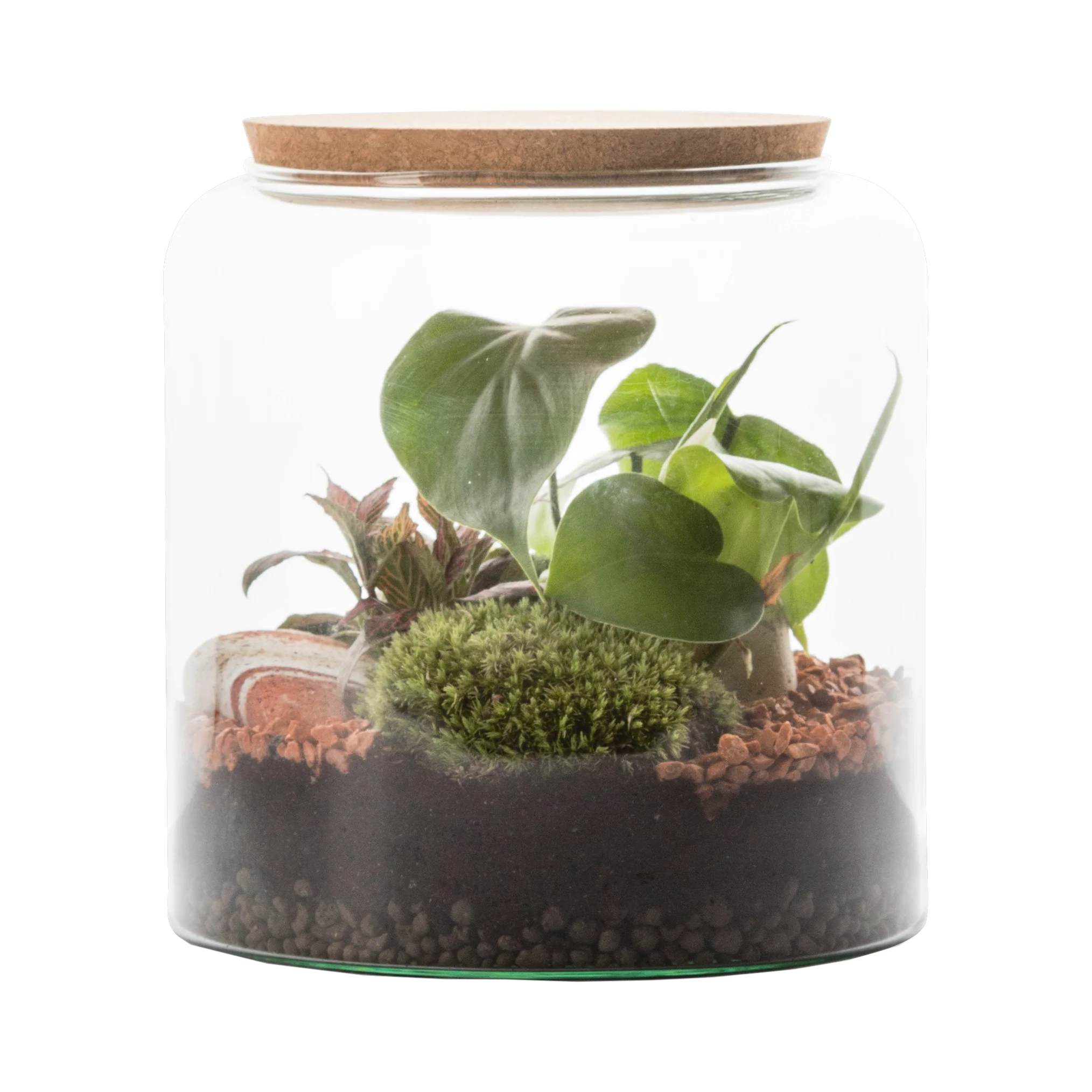 Miniatura 1